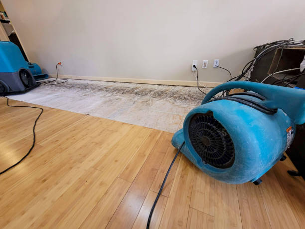 Reliable Basement Flood Cleanup contractor in Parker, TX by Hirex Water Damage