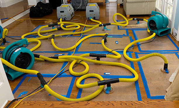 Professional Basement Flood Cleanup technician working in Parker, TX